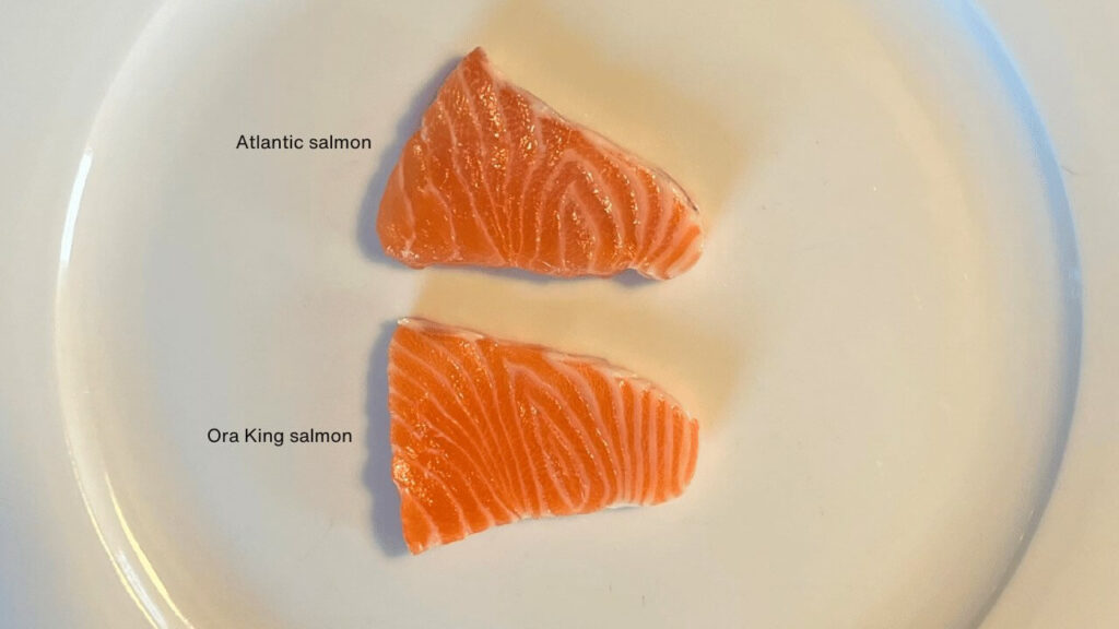 Ora King salmon
